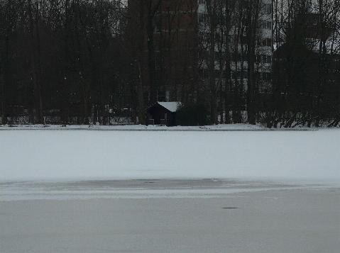Eis und Durchblick im Winter im Hermann-Loens-Park