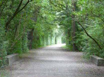 Ein breiter Weg entlang einer Hecke im Hermann-Lns-Park