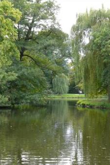 Der Teich im Georgengarten in Hannover