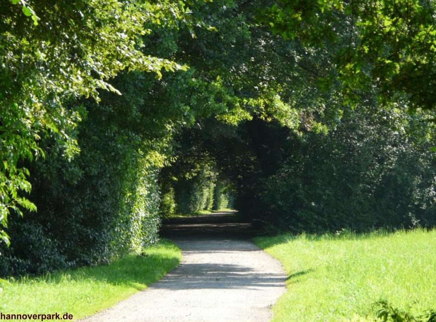 Lauschige Wege im HermannLönsPark