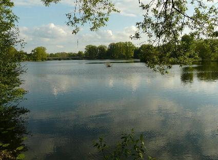 Der große Ricklinger Teich