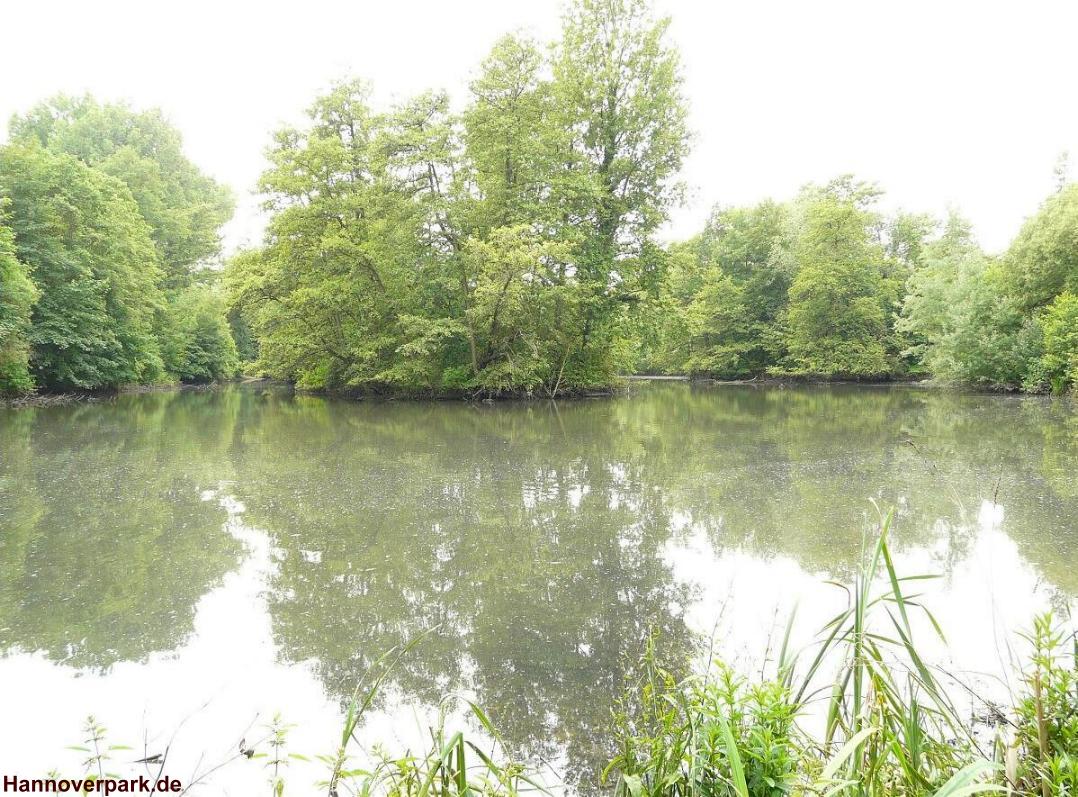 Bilder vom VierthalerTeich